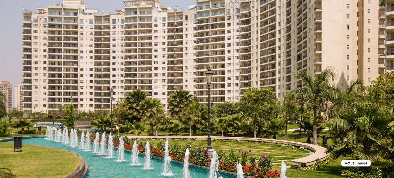 Central Park Resorts pictures